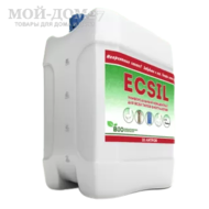  Ecsil - 10 .      ()